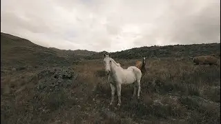 Mountains and Horses - FPV