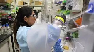 Earth Day 2024: Tackling the Plastics Crisis