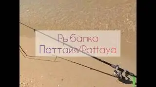 #3 Таиланд самостоятельная рыбалка в Pattaya/ Fishing In Thailand
