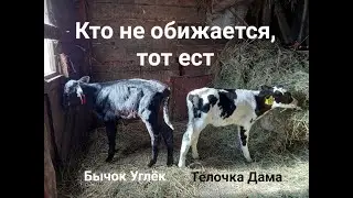 кто не обижается тому больше достанется