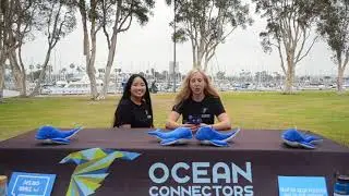 Whale Trivia Episode 1 | The Shore Buddies Show