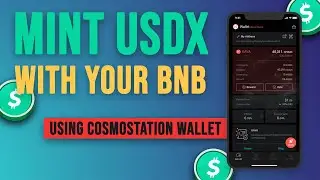How to mint USDX with your BNB using Cosmostation Wallet | Step By Step Guide