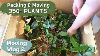 Packing & Moving My 350+ Plants | Moving Vlog 2