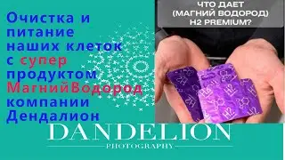 #Какая_среда_должна_быть_внутри_нас