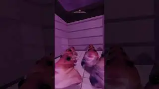 scp sl.mp4 №8 