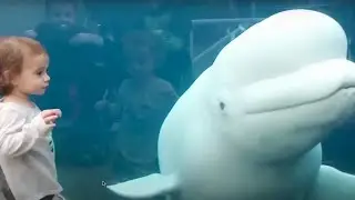 Она Зря Сделала Это! Случаи с Животными 1 на Миллион Снятые на Камеру
