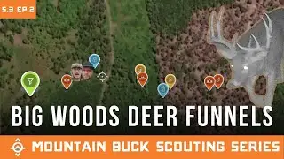 Finding Deer Funnels in Flat Big Woods | Mountain Buck Scouting Series | S.3 Ep.2