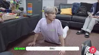 Chan's cat Lee Know
