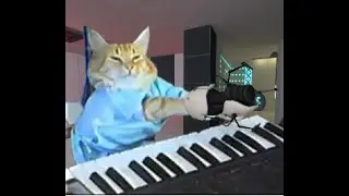 keyboard cat but sp_intro_01_05_apple