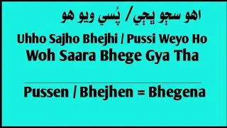 Learn Sindhi Language Through Urdu Hindi ||Sindhi to Urdu|| Sentence's About Daily life