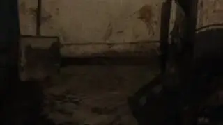 лис зимой пришел попросить покушать