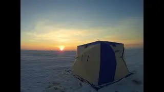 Бешенный клев Карася. РОЗЫГРЫШ. Озеро Уелги. Рыбалка с Комфортом.