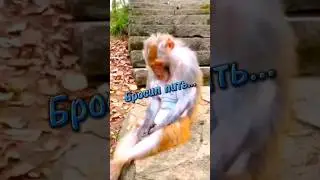 Веселюсь, как могу! Юмор.