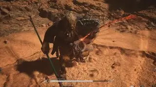 Yellow Wind Sage Made Easy