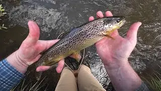 Tenkara Fishing an Idaho border creek with the DRAGONtail Ragnarok 400 Rod 7-1-2024