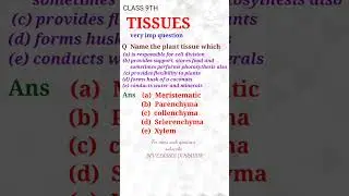 9th TISSUE IMP QUESTION 1