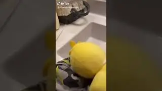 Chica gets attack by seagulls