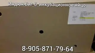 Индюк Биг-6. Инкубационное яйцо с доставкой.