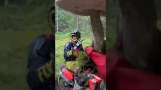 ЭНДУРО ГРИБ 🤣