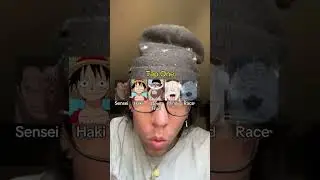 HIGHEST BOUNTY IN ONE PIECE!?