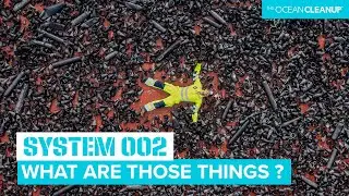 Thousands of Eel Traps in the Great Pacific Garbage Patch | The Ocean Cleanup