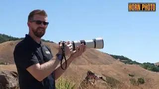 The Power of Canon's 100-500mm RF Lens