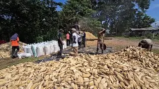 Este Trabajo Es el Menos Pagado En El Salvador💔