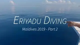 Eriyadu Diving - Maldives 2019 Part 2