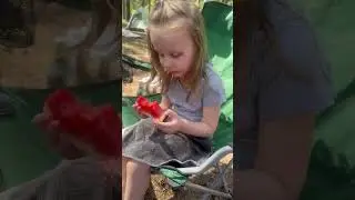 Полное видео в инст: nadezda.alisia