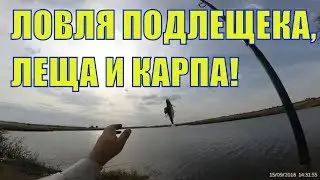 Ловля подлещика, леща и карпа в сентябре на пруду