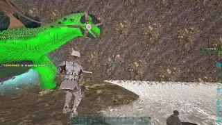 xd