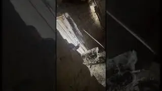 Болашақ жұлдыз болатын жигитқой 🔥🔥🔥 