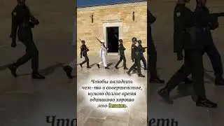 Действуй! 