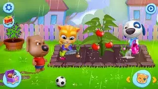 Tom Friends,Talking Ben,Talking Ginger,Talking News,Talking Tom,My Tom,Tom Hero,Talking Tom 2,My Tom