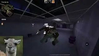 Random 1x1 clips feat neverlose