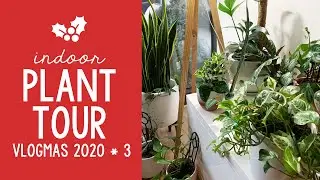 Updated Indoor Plant Tour | Vlogmas Day 3