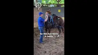 Tips on Colt Starting! | The Horse Guru-Michael Gascon