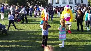 Dj bunny and hatching chick at white house