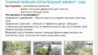Зеленые растения сада. Наталья Мягкова