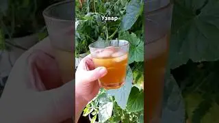 Рецепт Узвар вкус детства как сварить #cooking #простойрецепт #напитки #рецепты