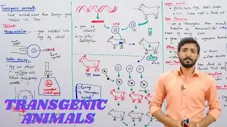Transgenic animals (Methods of preparation and uses) | Biology 12th | Chapter 23 | lecture 10