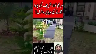 CM Punjab Maryam Nawaz Shreef Planting a tree | News #news #cm