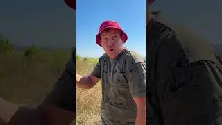 БАТЯ И ПРОБЛЕМЫ