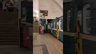 КАКИЕ ЧАСЫ ИСПОЛЬЗУЮТСЯ В МЕТРО?? #метроспб #поезд #метро #shorts #shortsvideo #railway #номерной