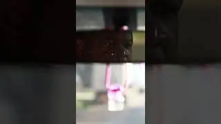 ЮАР 🇿🇦🌏