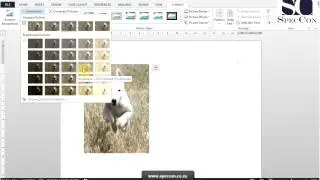 Setting Image Correction Options