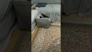 Куда все делись?