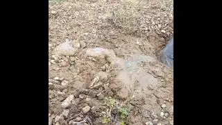 Liquéfaction du sol - Mont Albert - Soil Liquefaction