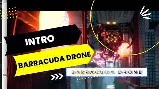 Barracuda Drone