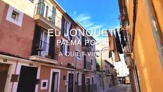 Hill overlooking Palma Harbor El Jonquet Mallorca, Spain